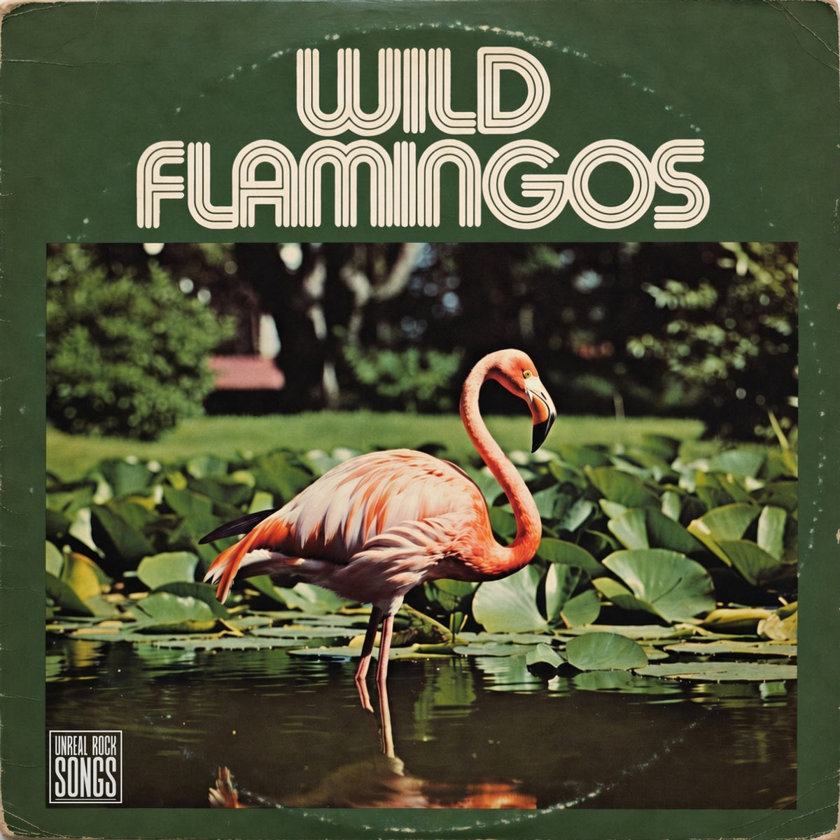 Wild Flamingos -  In My Head | Extended Digital Edition